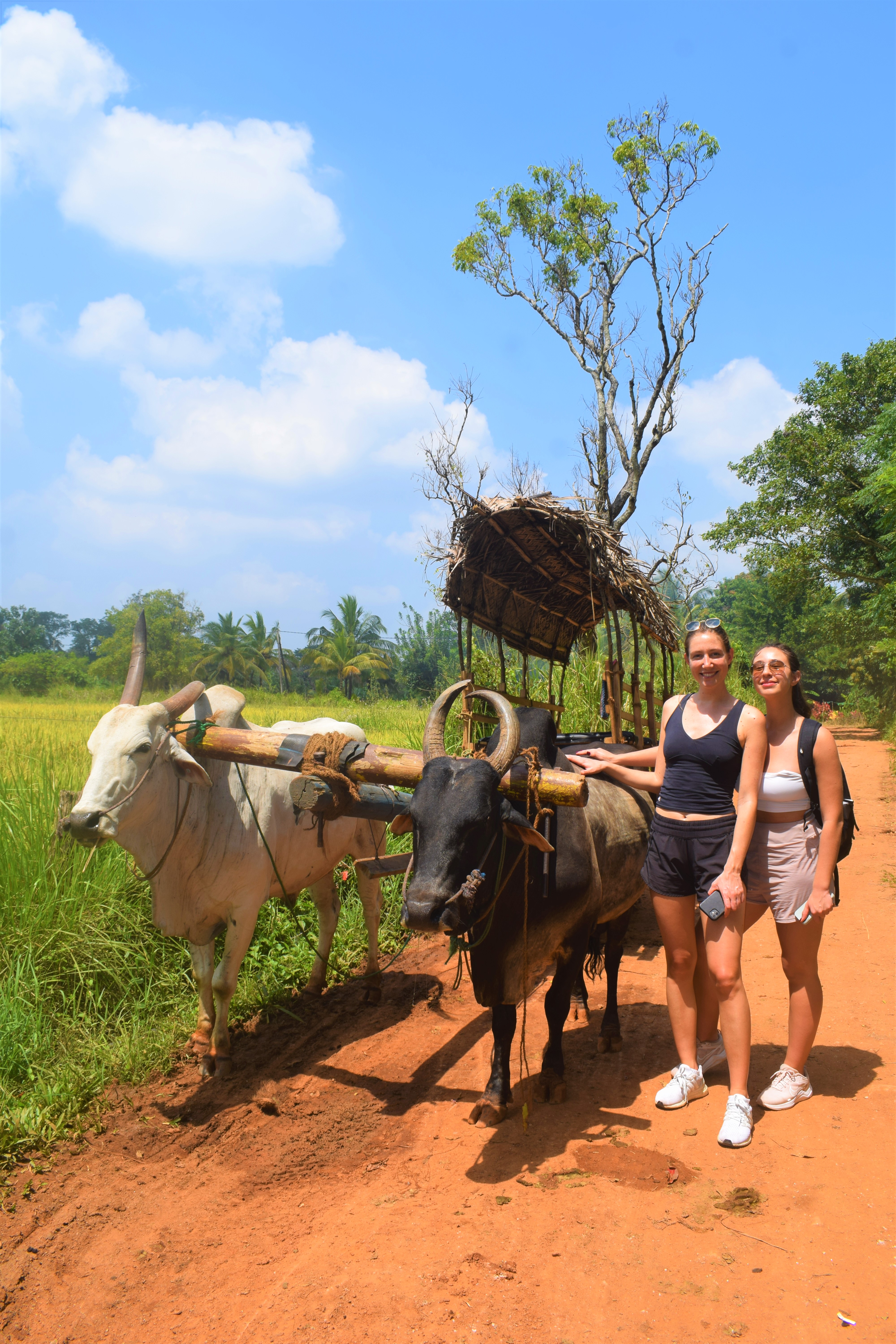 Sri Lanka Travel Experience